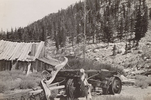 cottonwood sawmill